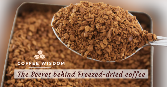 The secret of Lyophilizated coffee - freeze dried coffee. We provide the most premium coffees from Colombia. Buy from us. Coffeebeanandbirds.com.