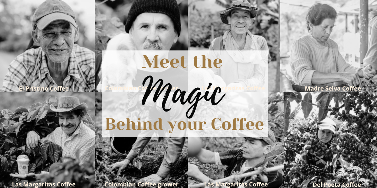 Meet Coffee Bean and Birds Coffee Growers. Meet the farmers behind coffee