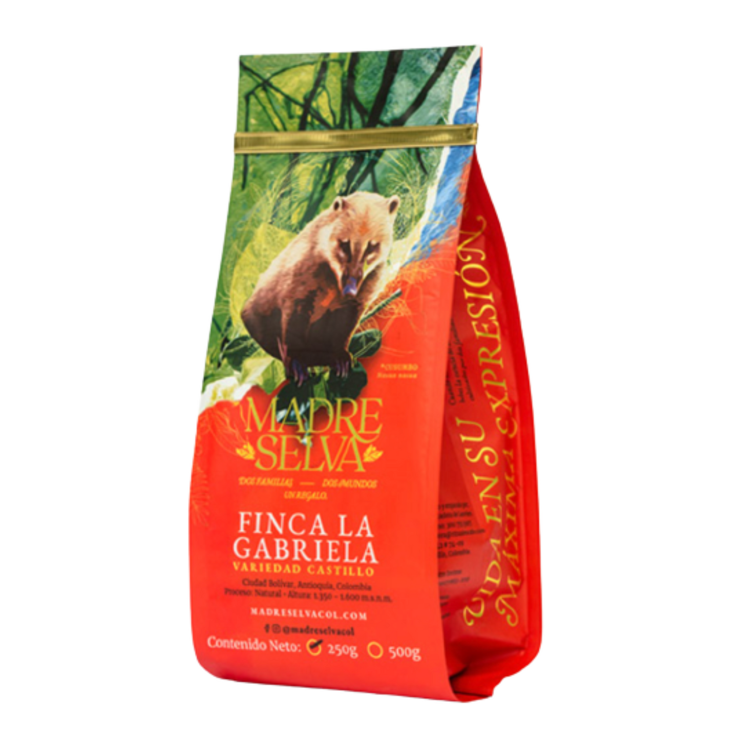 Coffee Bean and Birds. Madre Selva - Finca La Gabriela Specialty Coffee