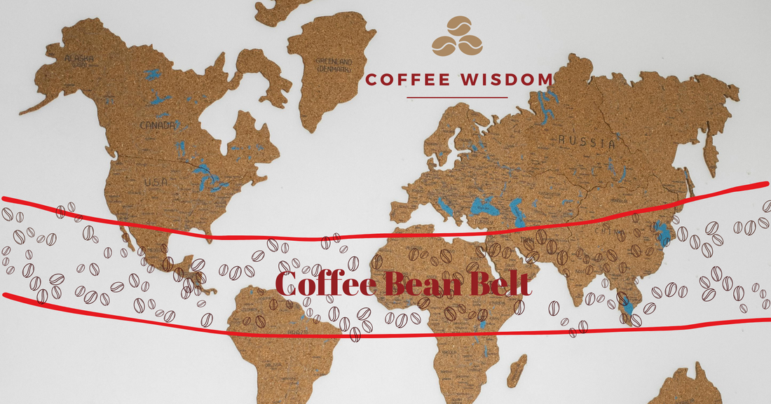 The Coffee bean-growing belt