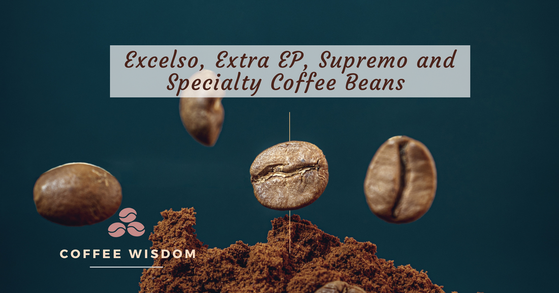 Difference among Excelso, Premium EP, Supremo and Specialty coffee