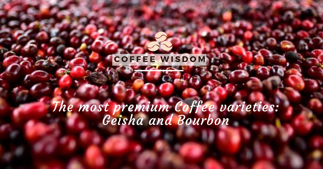 Specialty  rarety coffees: Pink Bourbon, Geisha and Tabi