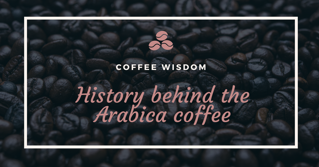 The history behind coffee Arabica