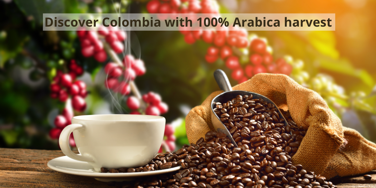 Colombian best sale coffee beans