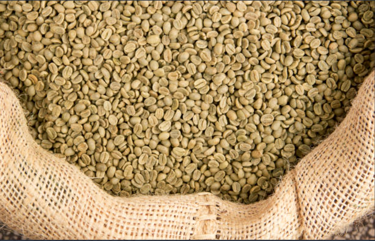 Excelso Premium UGQ 14/60 Colombian Green Coffee. Quantities in Kg