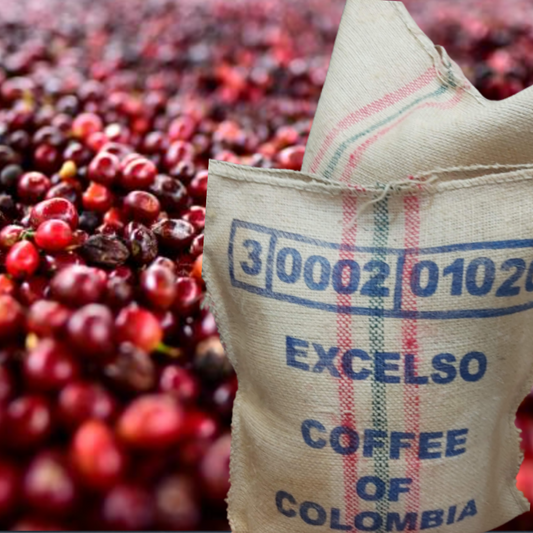 Excelso Premium UGQ 14/60 Colombian Green Coffee. Quantities in Kg