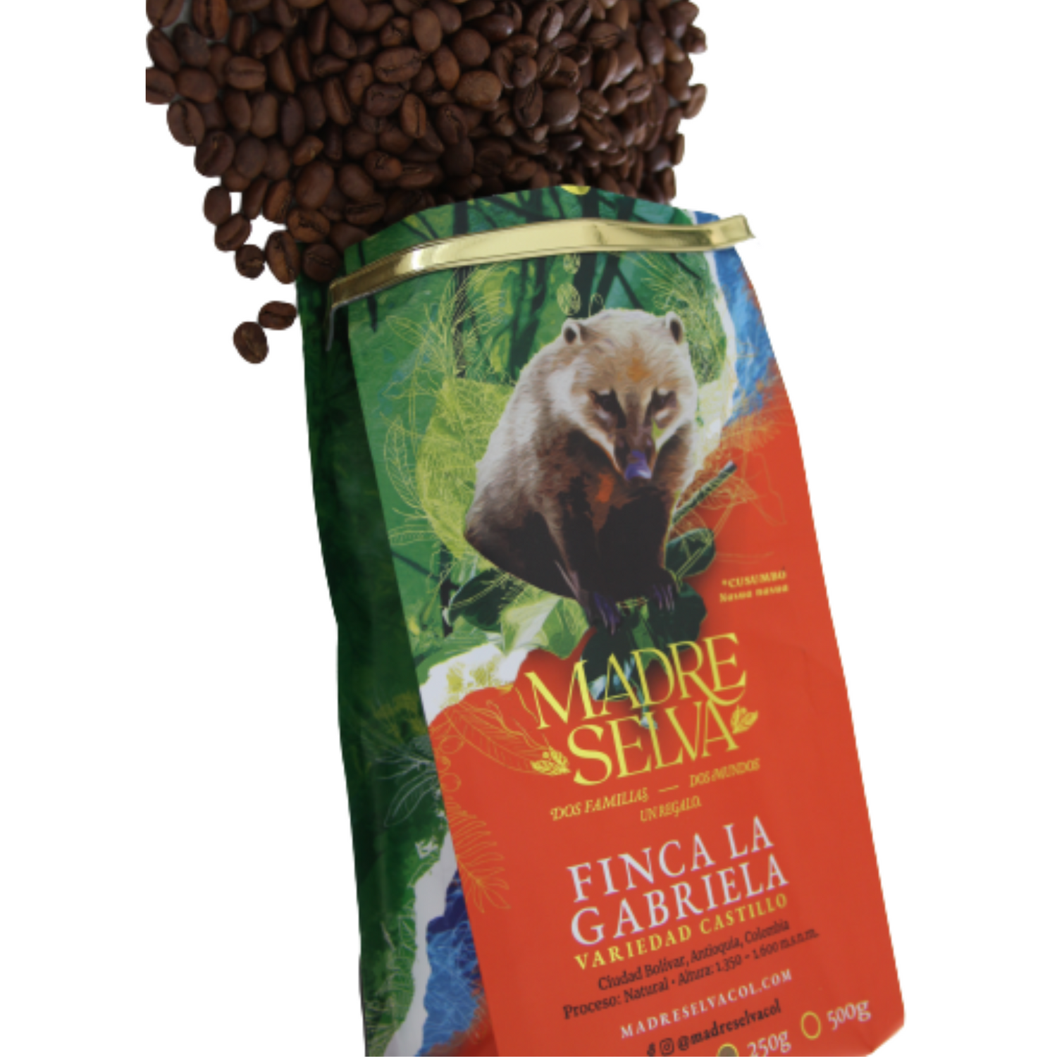 Coffee Bean and Birds. Madre Selva - Finca La Gabriela Specialty Coffee