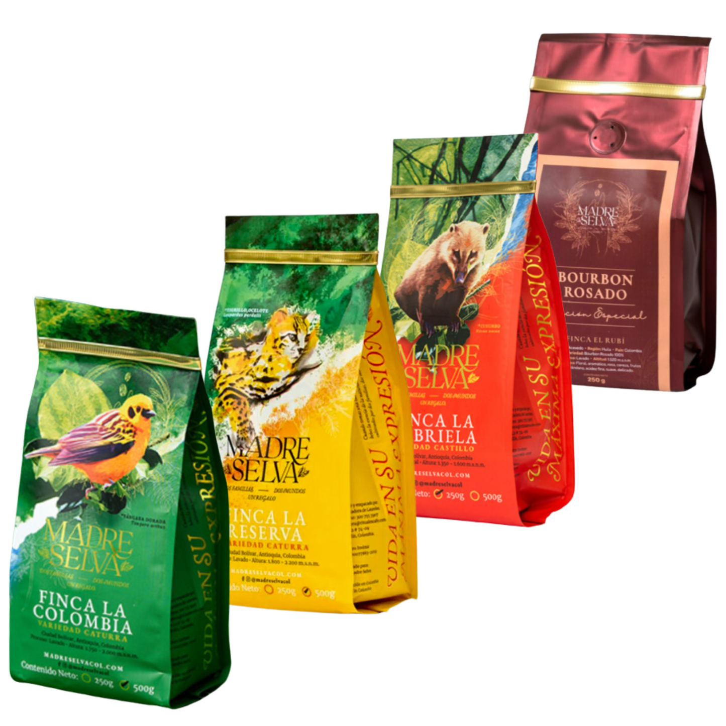 Madre Selva Certified Specialty Coffee 4-Pack Collection (2Lb / 1 Kg)